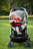 Benbat Stroller Organizer - Baby Giraffe