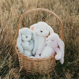 Bunnies By the Bay - Little 12” Floppy Nibble Bunny - Pink