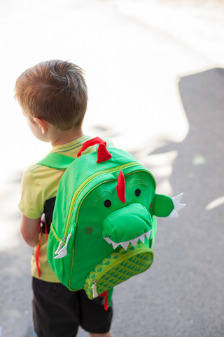 Dinosaur sales kids backpack
